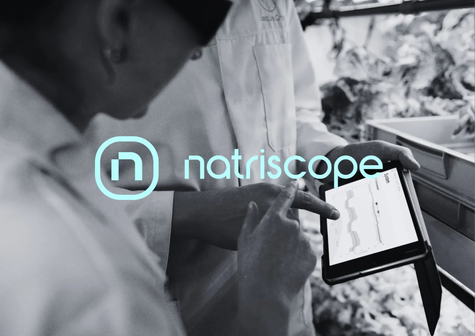 Natriscope brand work by NOIZE